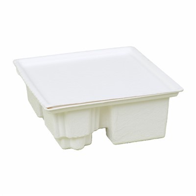 אריזת מצלמת פעולה בסיבי יצוק