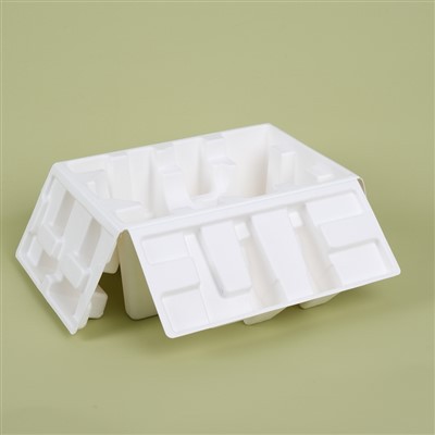 אריזת עיסת נייר יצוקה